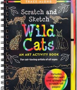 Scratch & Sketch Rain Forest (Trace Along) [Book]